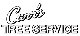 Carr's Tree Logo White with Black Outline